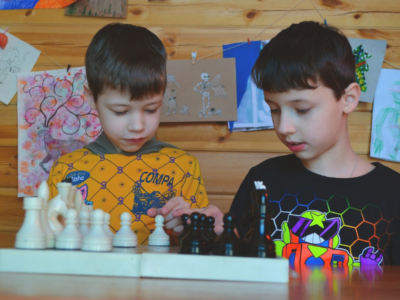 Эксперты из регионов обсудили шахматное образование в школах России
