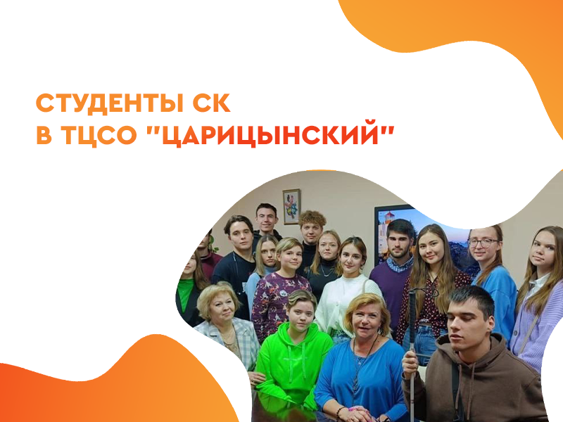 2022-11-22 Круглый стол территориального центра социального обслуживания «Царицынский»