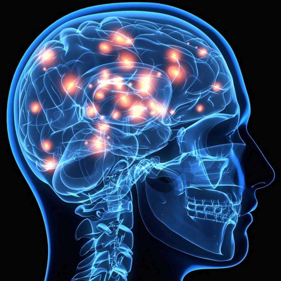 Наука психофизиология. Магнитные поля вашего мозга как их измерить... и зачем.jpg (153 KB)